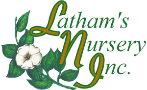 Lathams Nursery